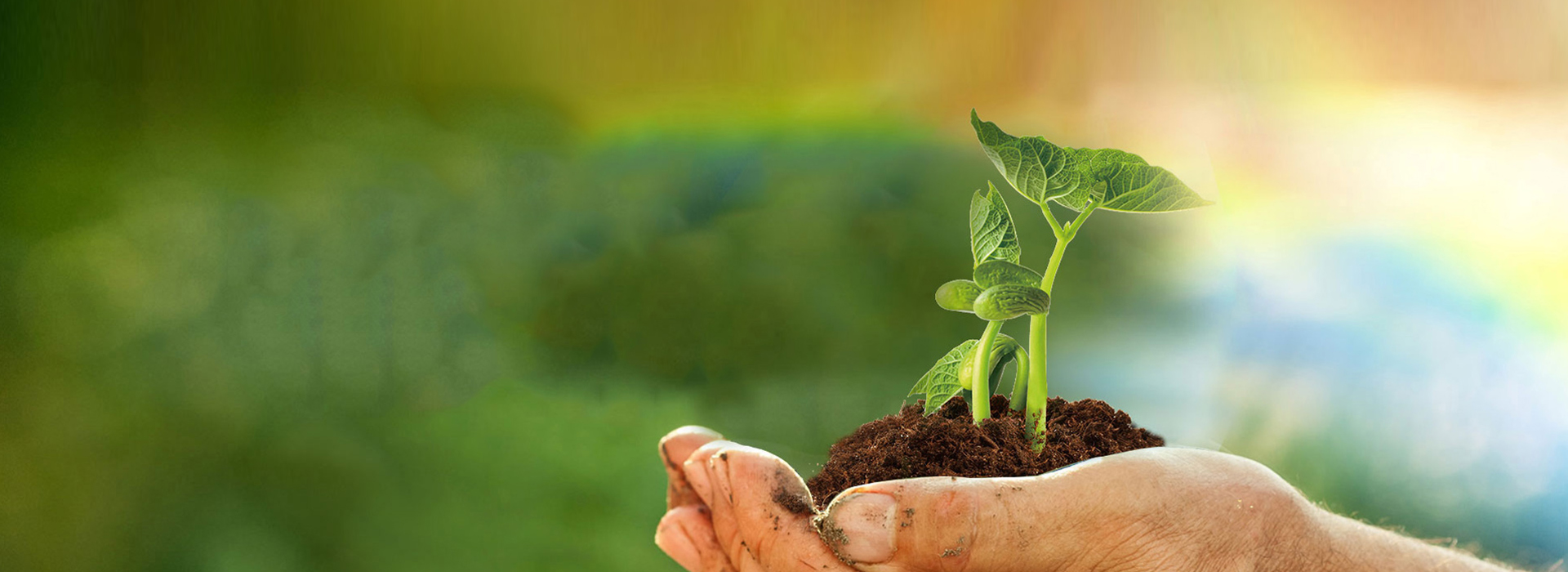 bwin����Ӯ(�й�)Ψһ�ٷ���վ