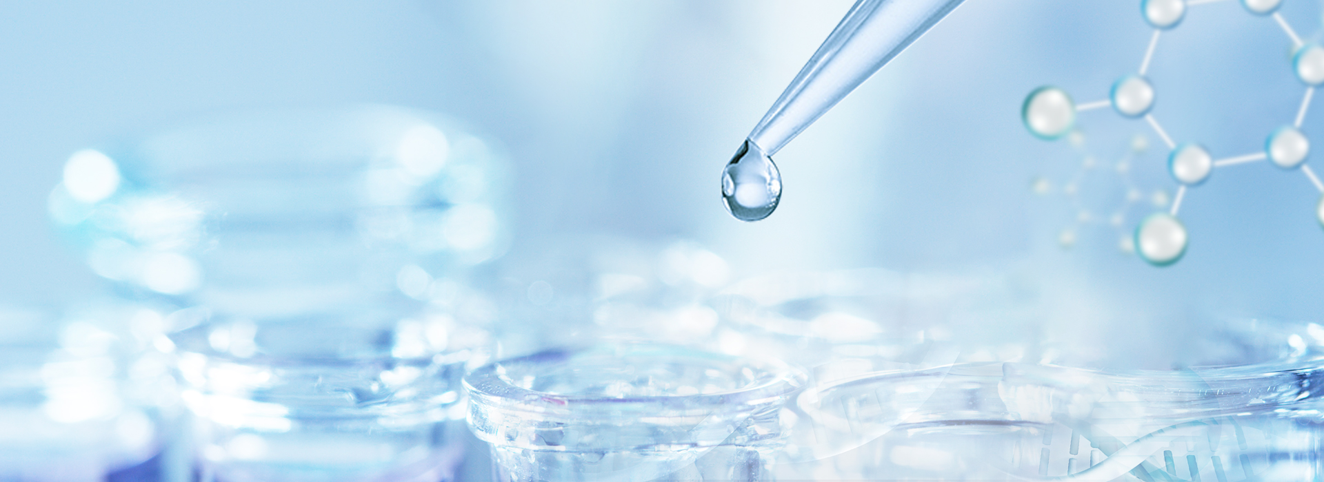 bwin����Ӯ(�й�)Ψһ�ٷ���վ