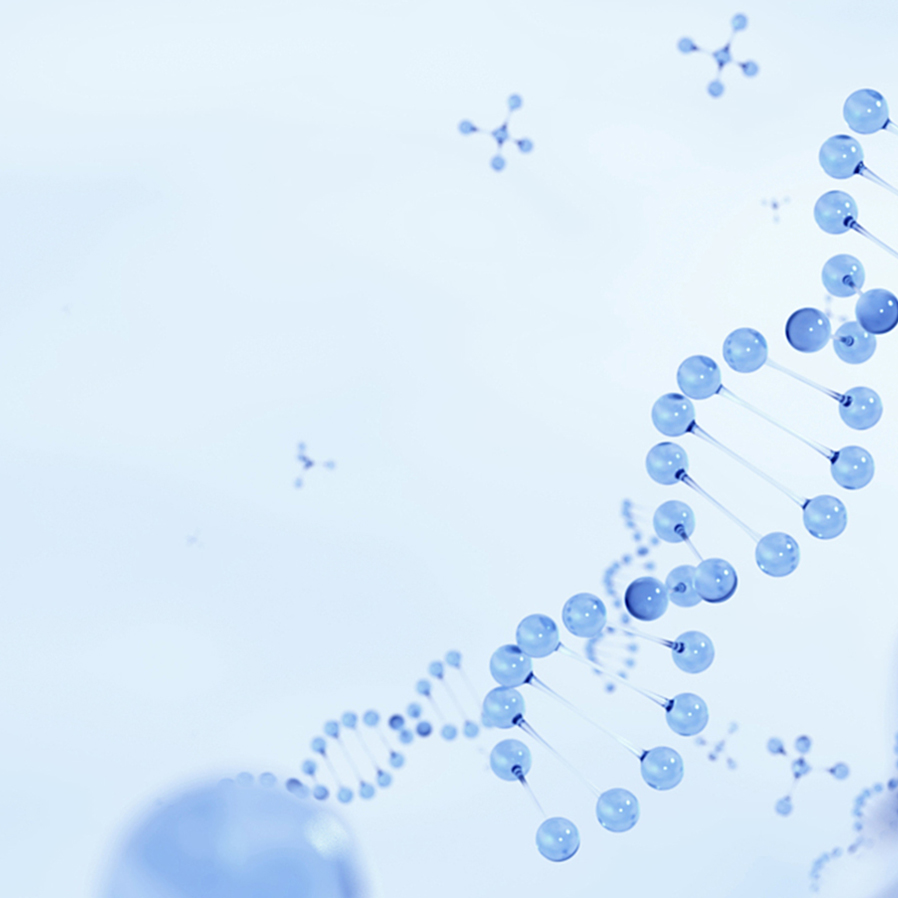 bwin����Ӯ(�й�)Ψһ�ٷ���վ